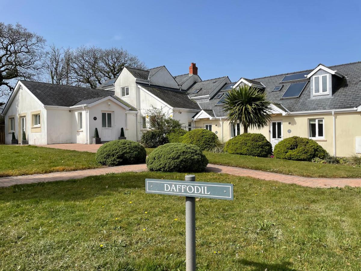 Daffodil Apartment Tenby Bagian luar foto