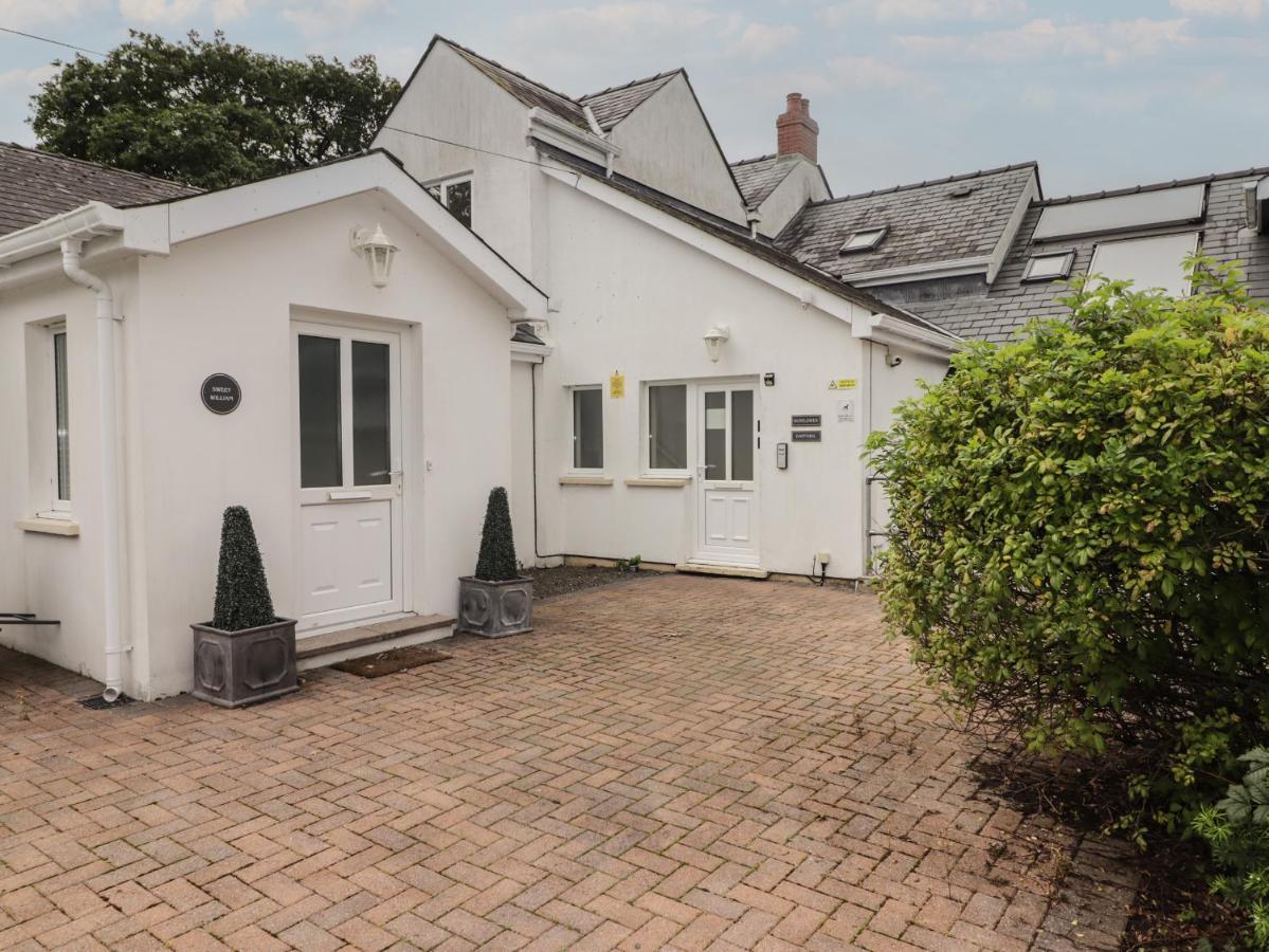 Daffodil Apartment Tenby Bagian luar foto